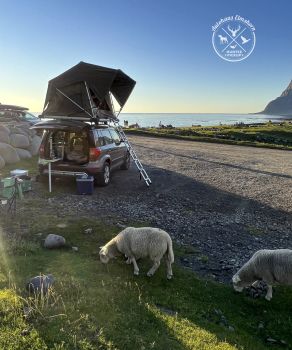 SHEEPIE Jimba Dachzelt Automatik